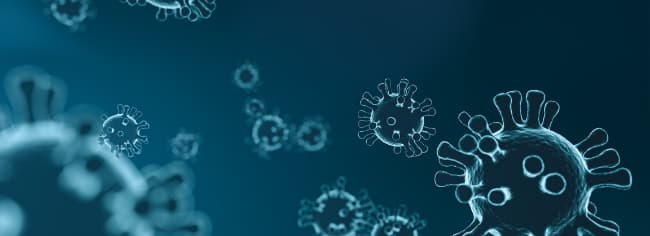 5º oleada...¿Será la última? Coronavirus